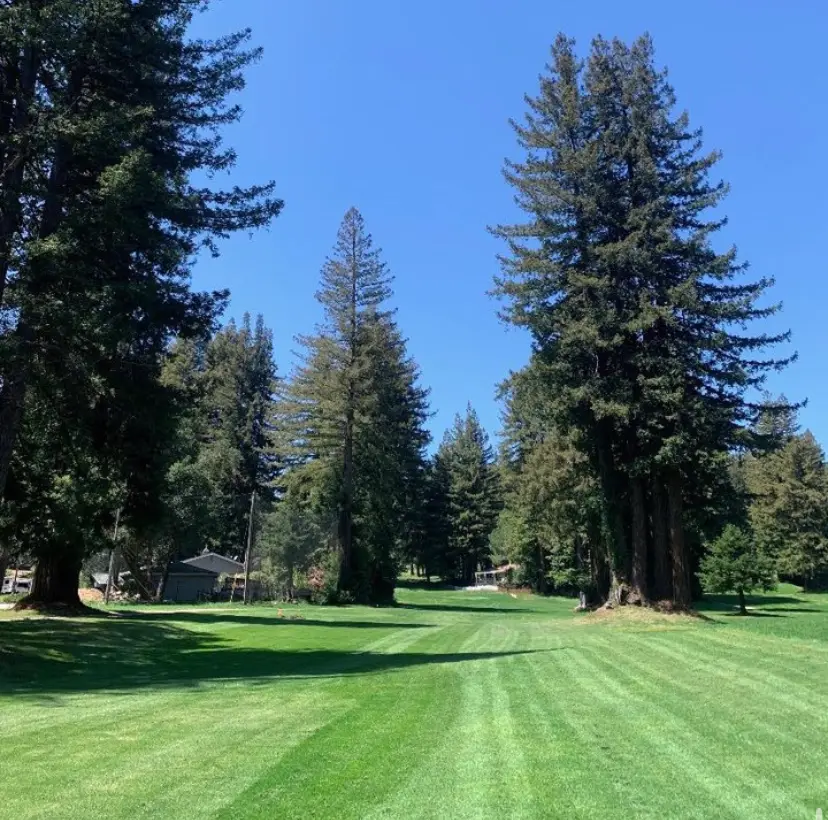 Boulder Creek Golf & Country Club golf course in Boulder Creek