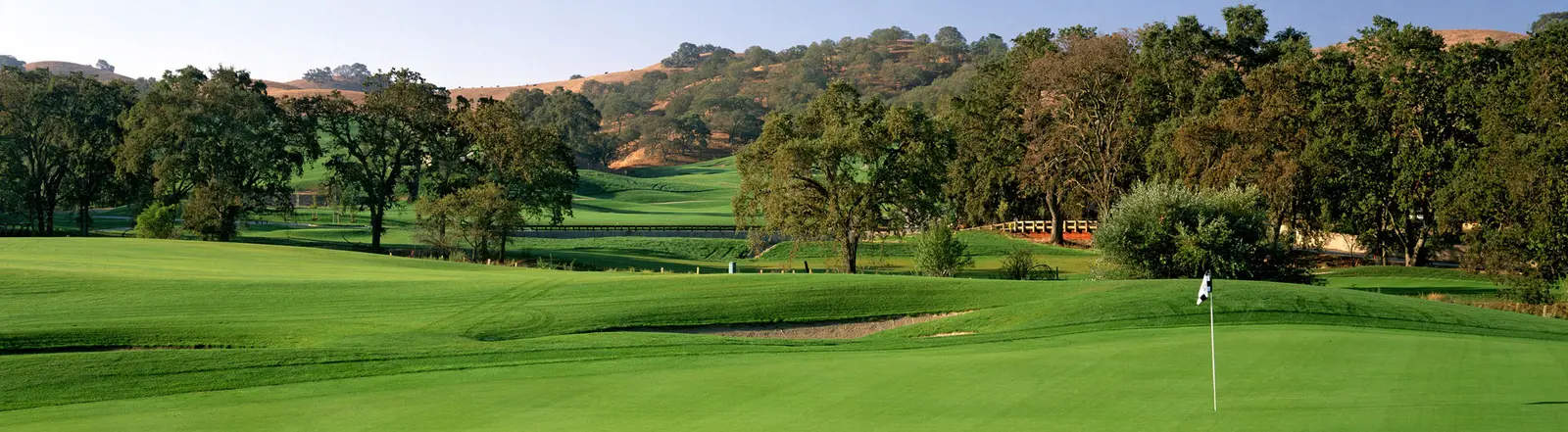 Callippe Preserve Golf Course golf course in Pleasanton