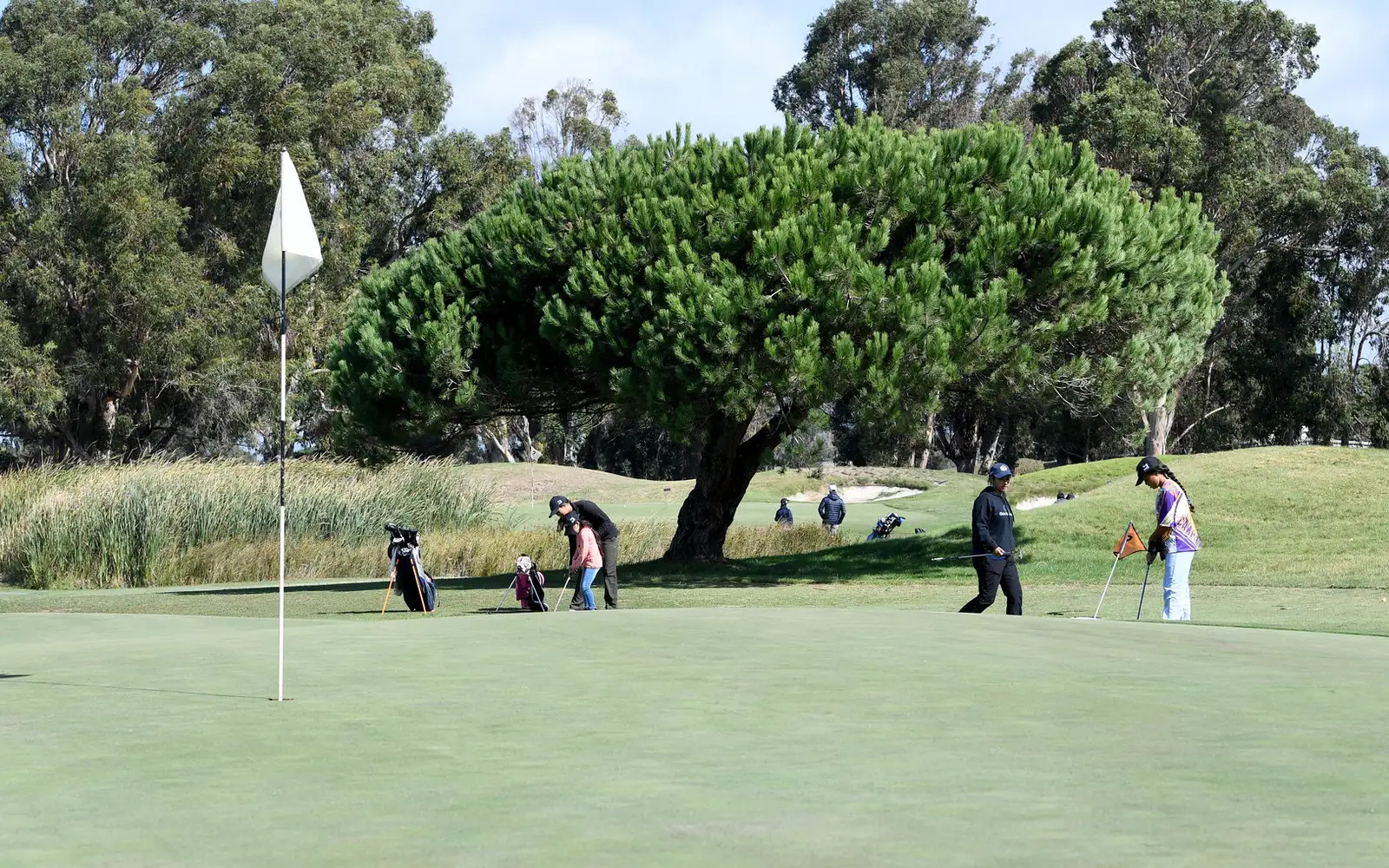 Corica Park - Mif Albright Par 3 golf course in Alameda