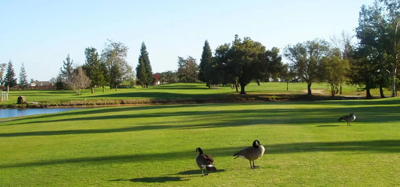 Dry Creek Ranch Golf Course golf course in Galt