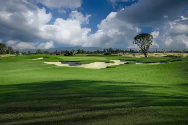 Bunkered green with a lone tree beyond