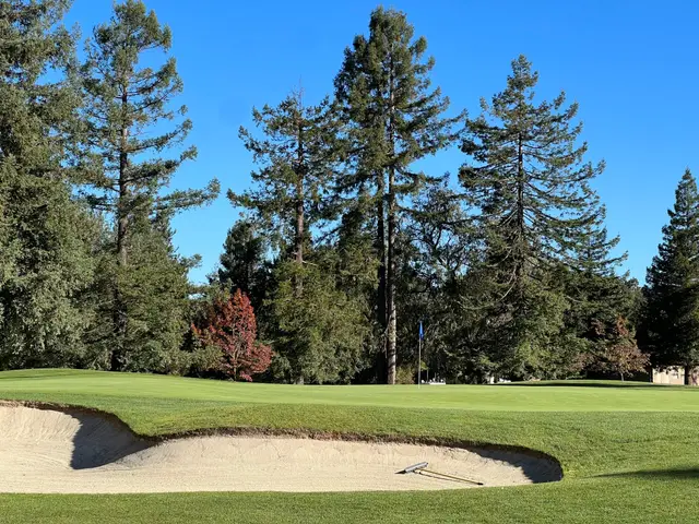 Greenside bunker beneath redwoods