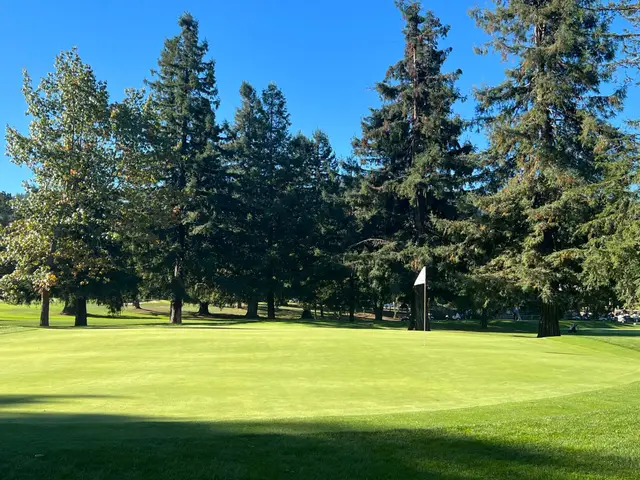 Green framed by tall pines