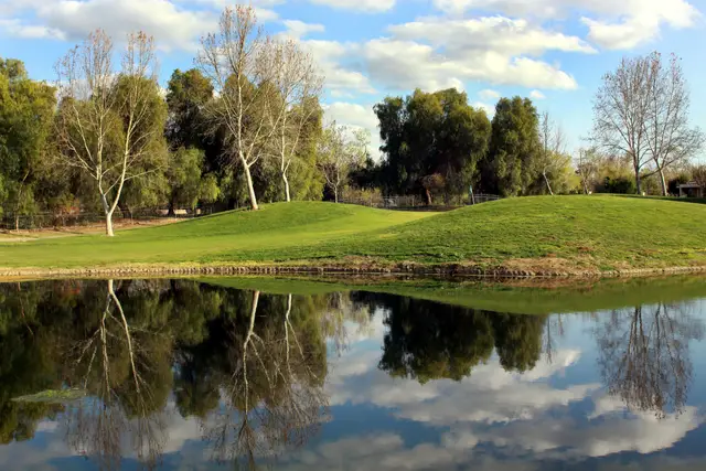 Green reflected in a still pond