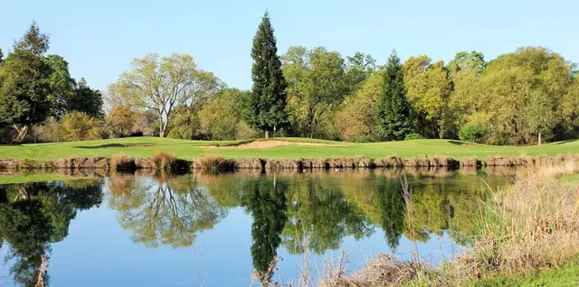 Green reflected in a pond