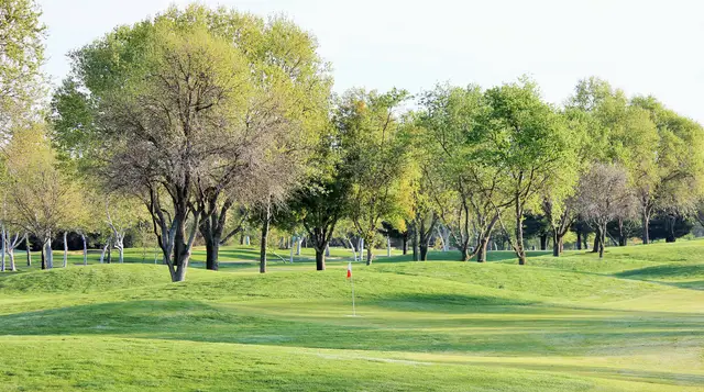 Spring trees around a green