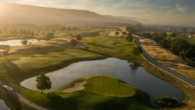 Pond-guarded green in morning haze at Coyote Creek