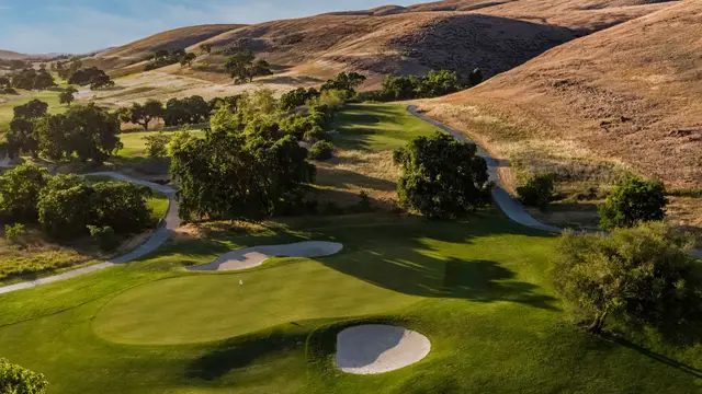 Green tucked beneath golden hills