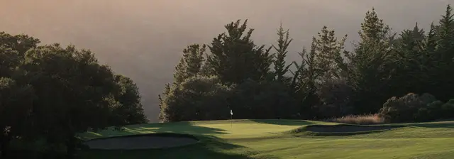 Green in the evening haze at Crystal Springs