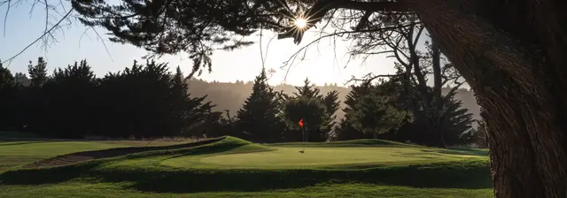 Sun through the trees above a green