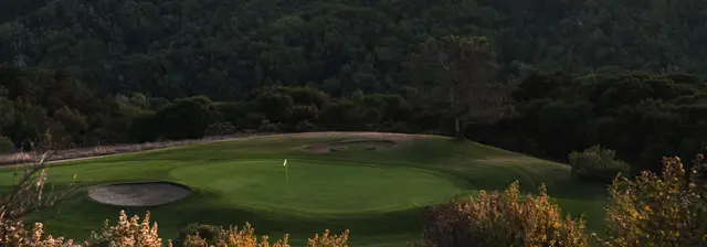 Green below the wooded ridge
