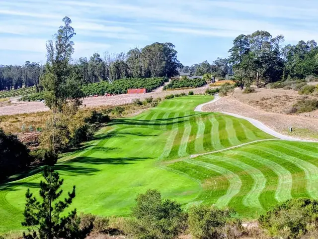 Striped fairway climbing through the pines at Cypress Ridge