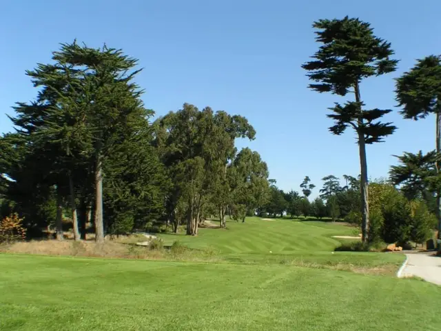 Cypress-lined fairway