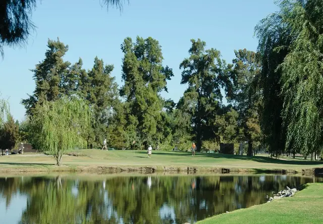 Pond in front of a green