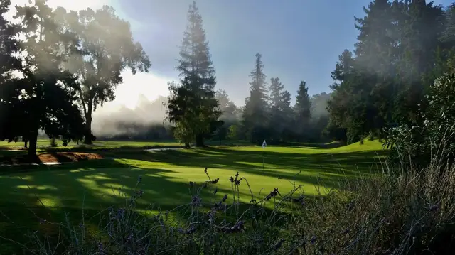 Morning mist through the trees at Deep Cliff