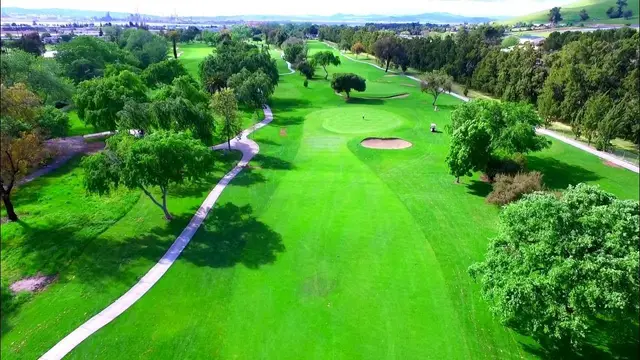 Tree-lined fairway from above