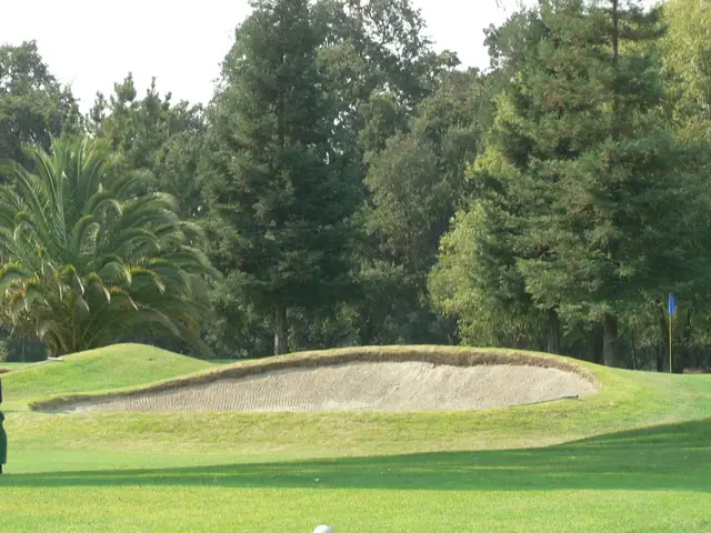 Greenside bunker beneath tall pines at Dry Creek Ranch
