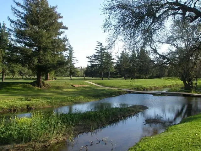 Creek winding through the course