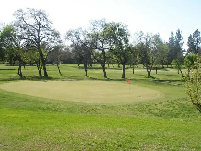Green framed by spring oaks