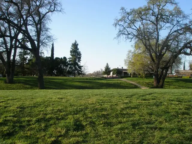Fairway under valley oaks