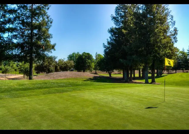Pin tucked behind pines