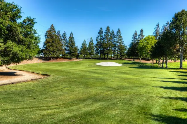 Fairway lined by redwood and pine