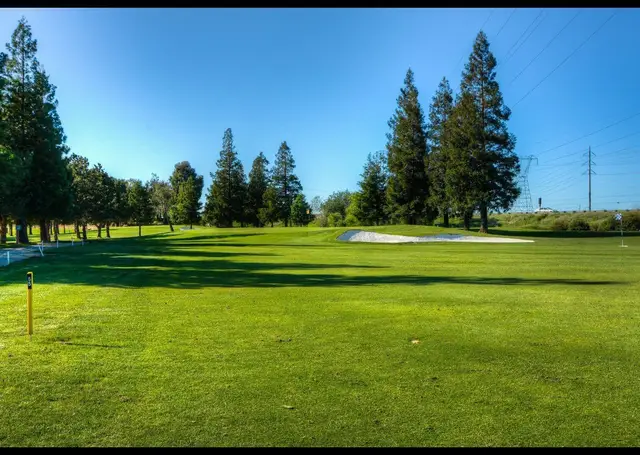 Tree-lined fairway in spring