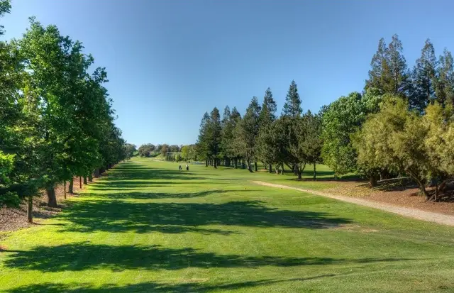 Long fairway framed by trees