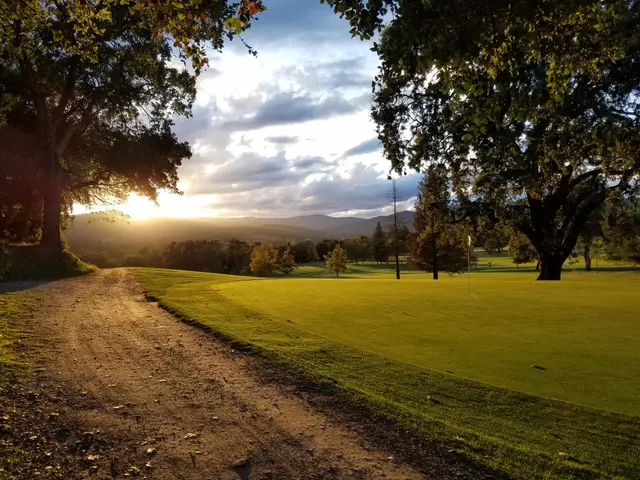 Sunset over the oaks along a fairway