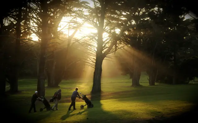 Golfers walking through shafts of morning light