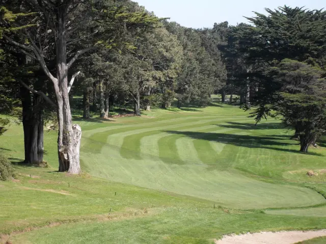 Striped fairway among the cypress trees