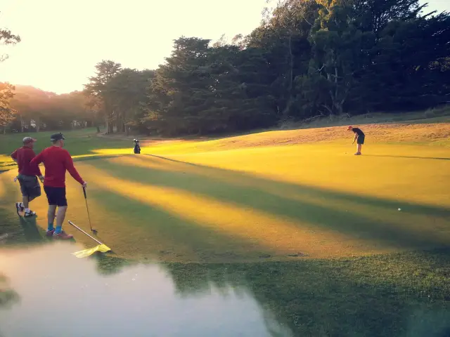 Golden evening light across a green