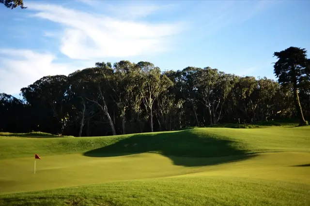 Pin on a rolling green in the park