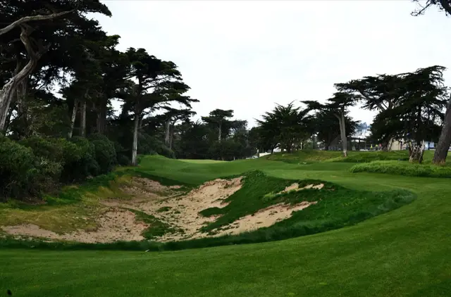 Restored sandy waste area in front of a green