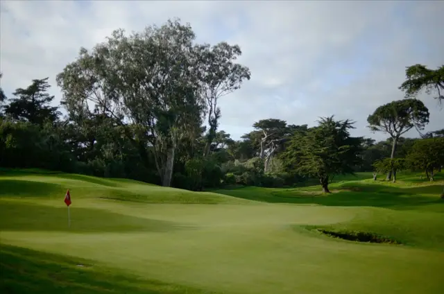 Green framed by eucalyptus and cypress