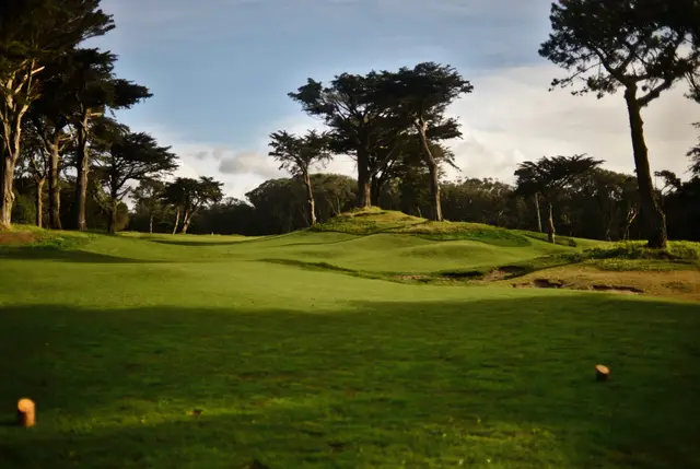 Rolling turf and cypress trees in late light