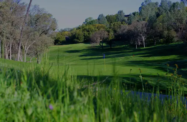 Spring grasses beside a fairway