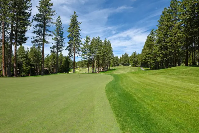 Pine-lined fairway on the Championship Course