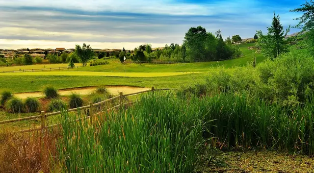 Native grasses framing a fairway