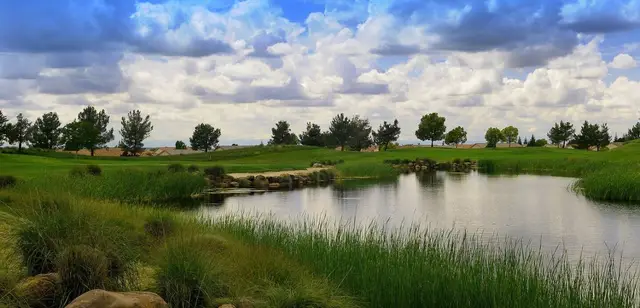 Pond and wetland grasses at Lincoln Hills