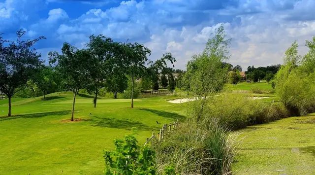 Trees and native plantings along a fairway