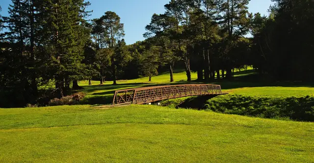 Wooden footbridge across the creek