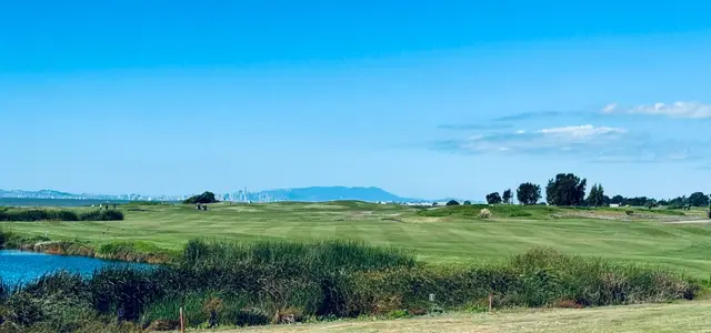 Wetland grasses with the bay and Mount Tamalpais beyond