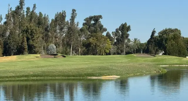 Pond in front of a green