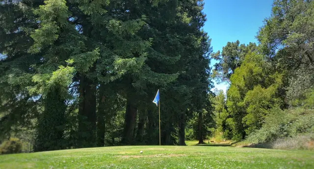 Pin beneath tall redwoods at Montclair