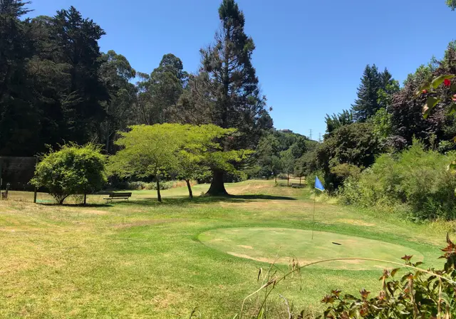 Green among the Oakland hills trees