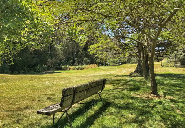 Bench in the shade beside the course