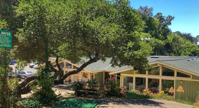 Montclair clubhouse beneath an oak