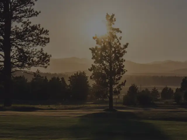 Pines silhouetted against the evening sky at Northstar
