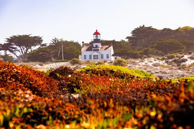 Point Pinos Lighthouse beyond flowering ice plant